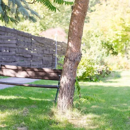 Pod Gwiazdami Han/Misafirhane